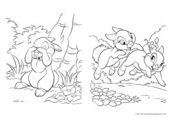 Disney Bunnies desenho para colorir 05 e 06