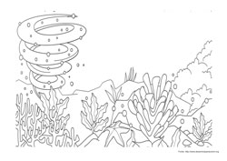 O Peixe Arco-Íris desenho para colorir 02